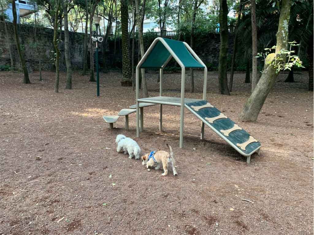 Lugares cool al aire libre para correr con tu perro