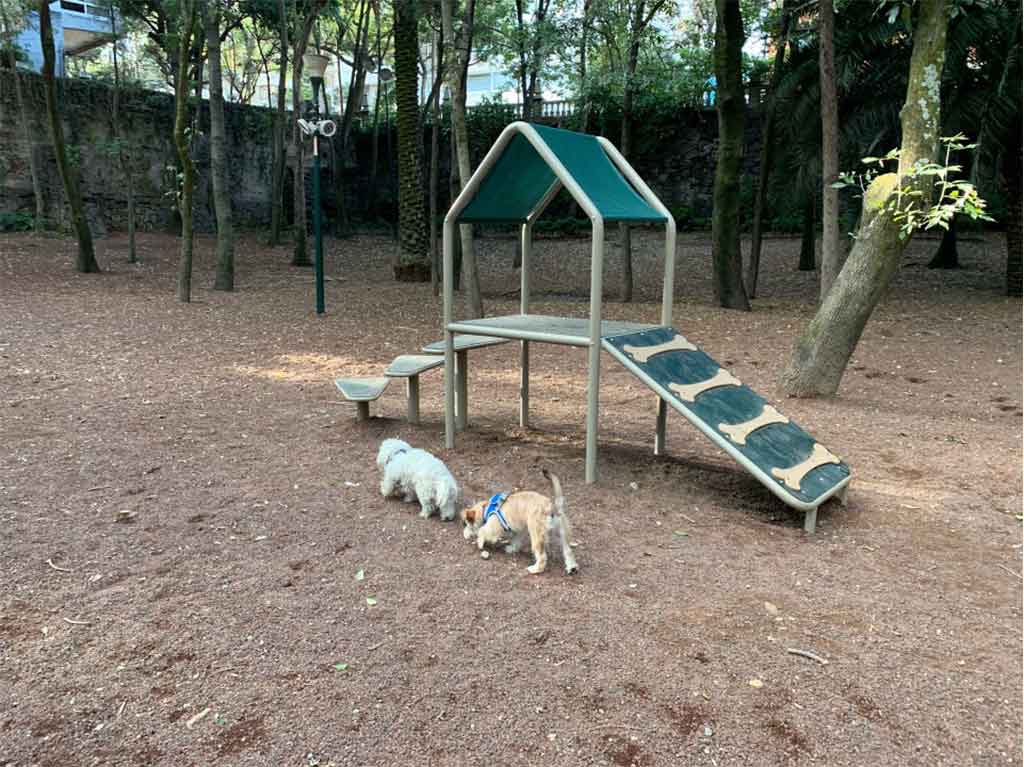 lugares-cool-al-aire-libre-para-correr-con-tu-perro-hundido