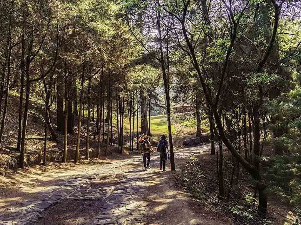 Lugares para hacer reuniones al aire libre