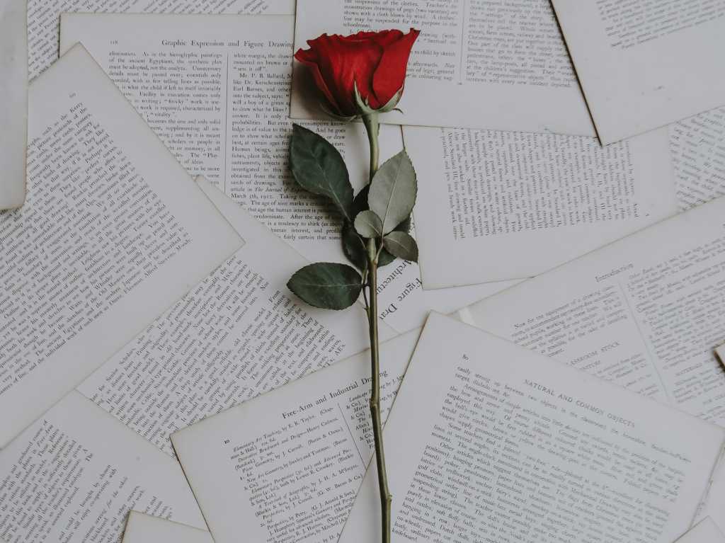milan-kundera-frases-sexo-erotismo-literatura-rosa
