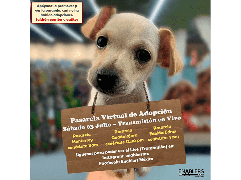 Pasarela virtual de perros en adopción, Enablers