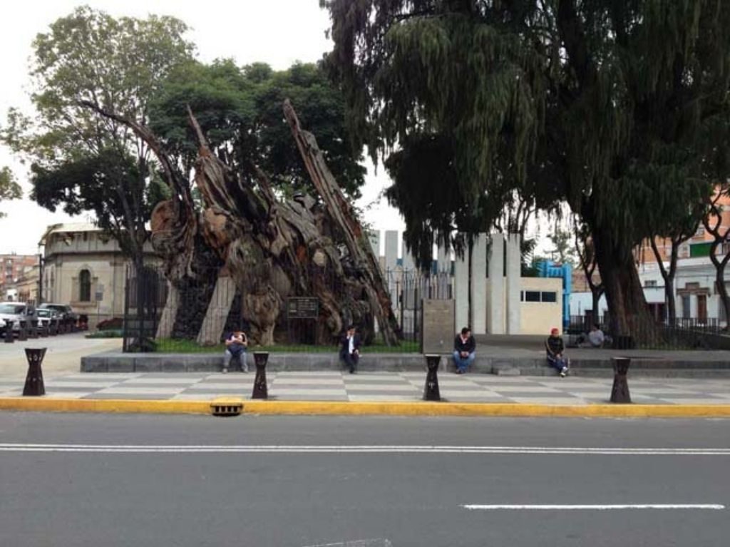 La Plaza de la Noche Triste cambia de nombre ¡Mira cómo se llama ahora!