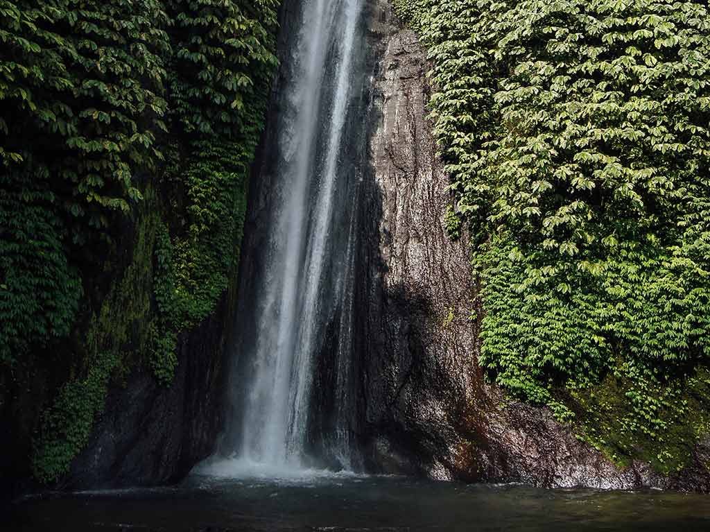 6 datos curiosos sobre el Amazonas que debes conocer