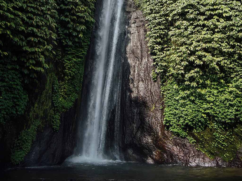selva-6-datos-curiosos-sobre-el-amazonas-que-debes-conocer