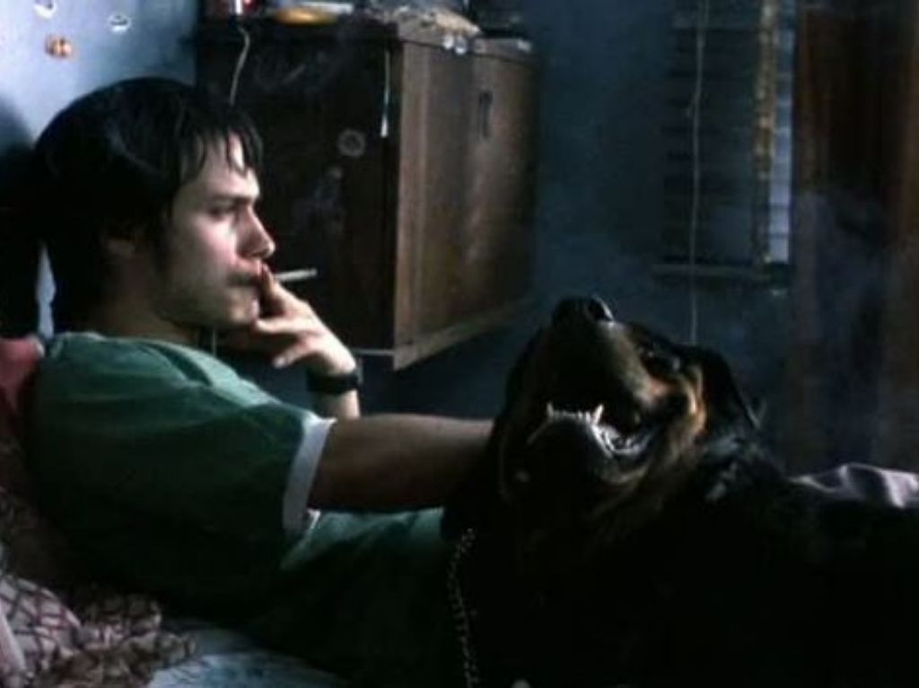 ‘Amores Perros’ regresa a las salas de cine ¡no te la pierdas!