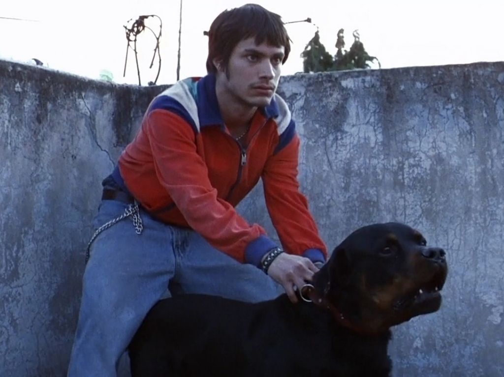 ‘Amores Perros’ llegará a Netflix con motivo del Día del Cine Mexicano