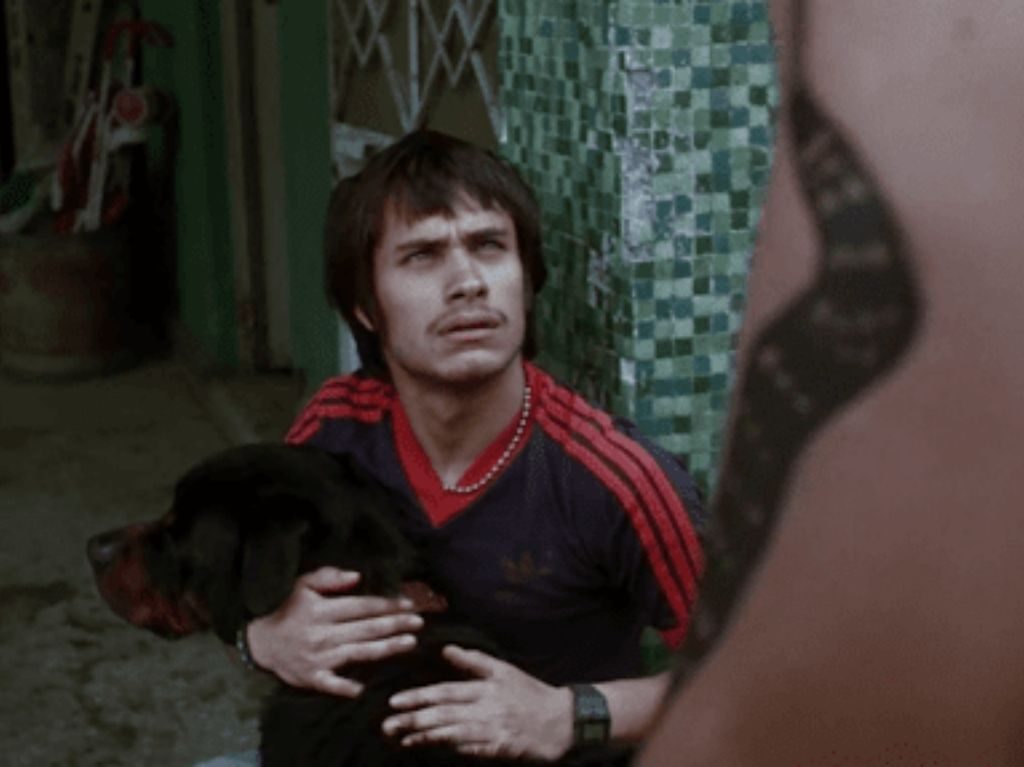 ‘Amores Perros’ llegará a Netflix con motivo del Día del Cine Mexicano 