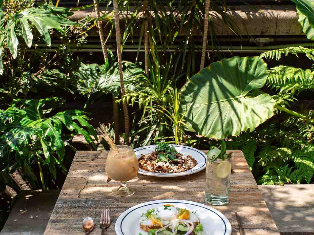 cafeterias-con-terraza-en-cdmx-mesa