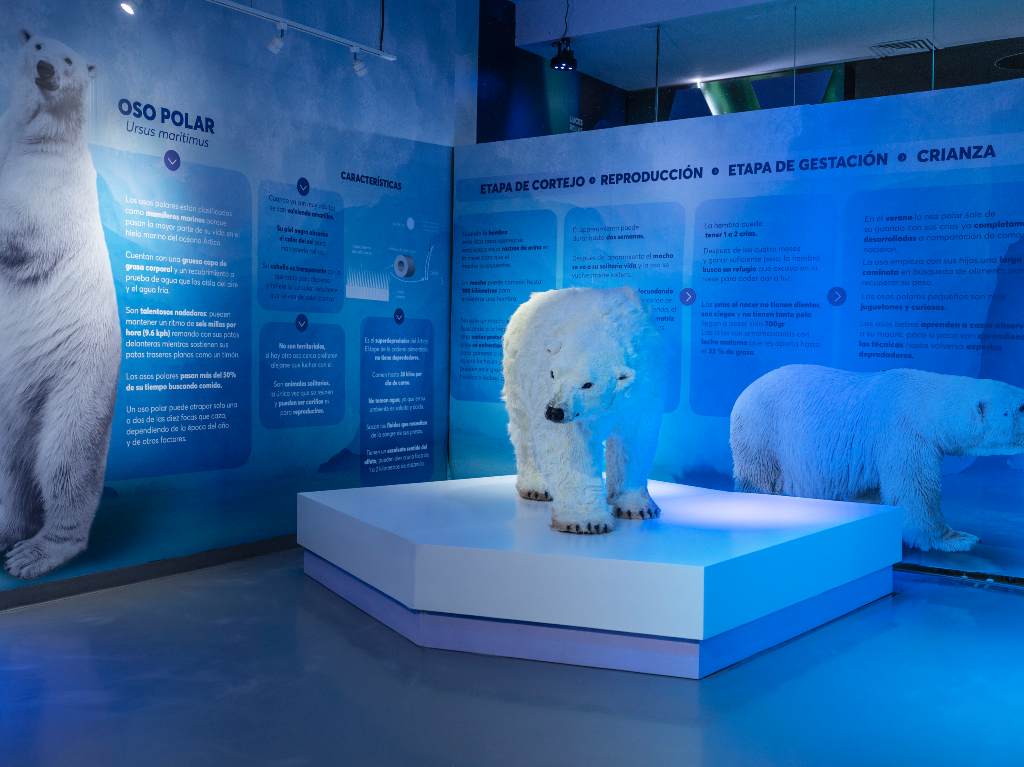 Cartelera Cultural de Agosto 2021 en CDMX Ártico La Expedición Acuario Inbursa