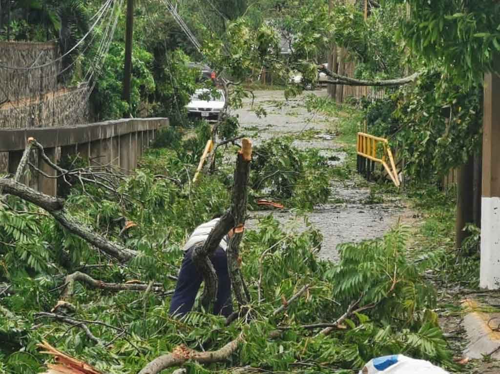 Centros de Acopio para ayudar a damnificados por el huracán Grace