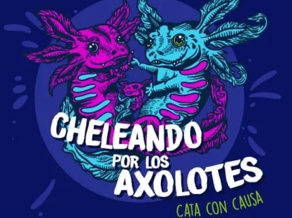 Cheleando por los axolotes cata con causa ambiental Portada