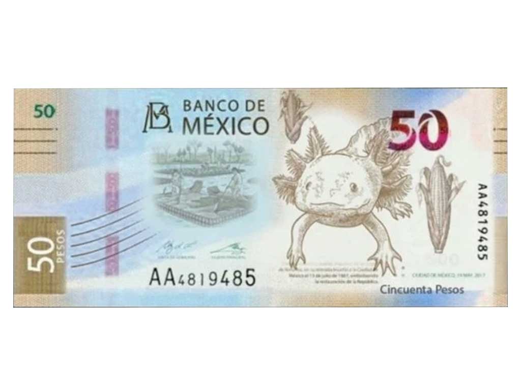 Nuevos billetes de 20 y 50 pesos