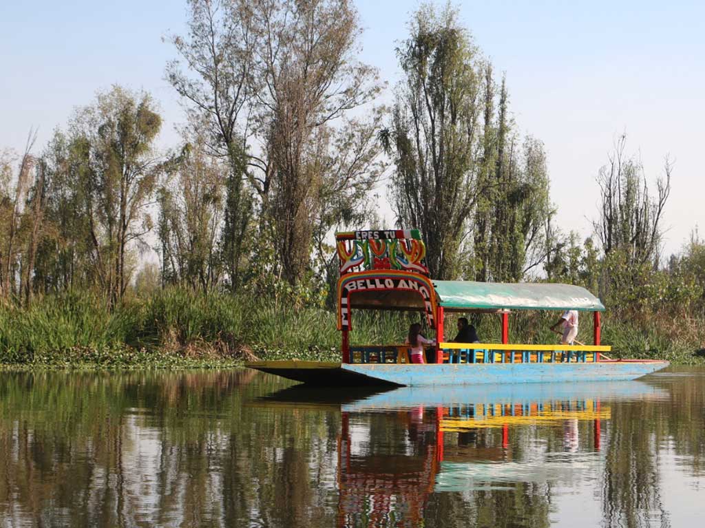 IPN busca regenerar los canales de Xochimilco