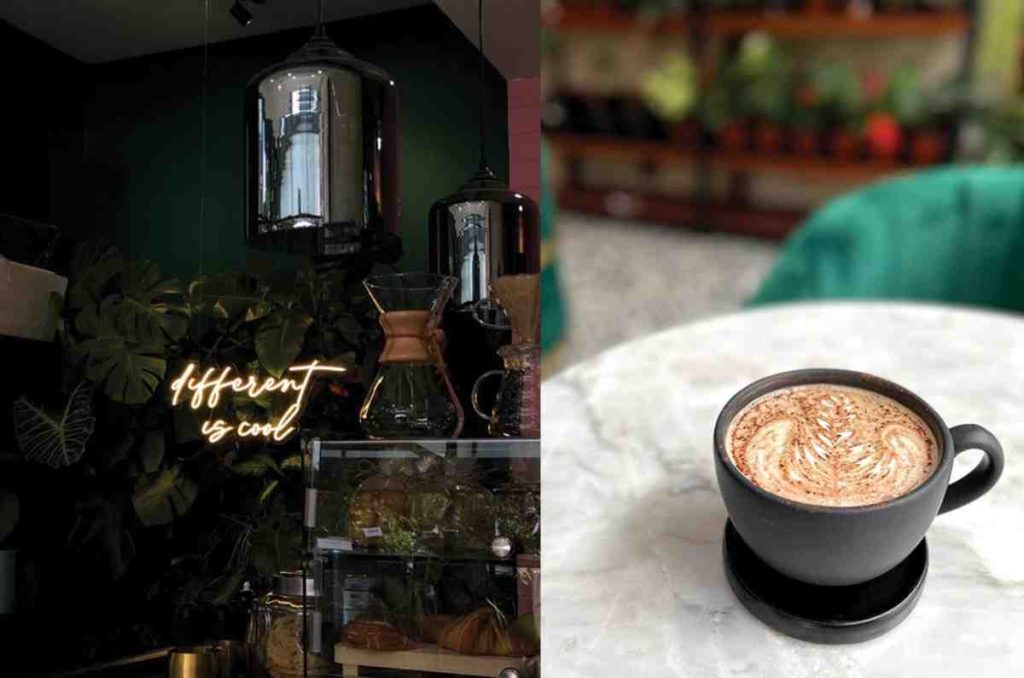 Péshé: cafetería, galería y tienda de plantas en la Condesa