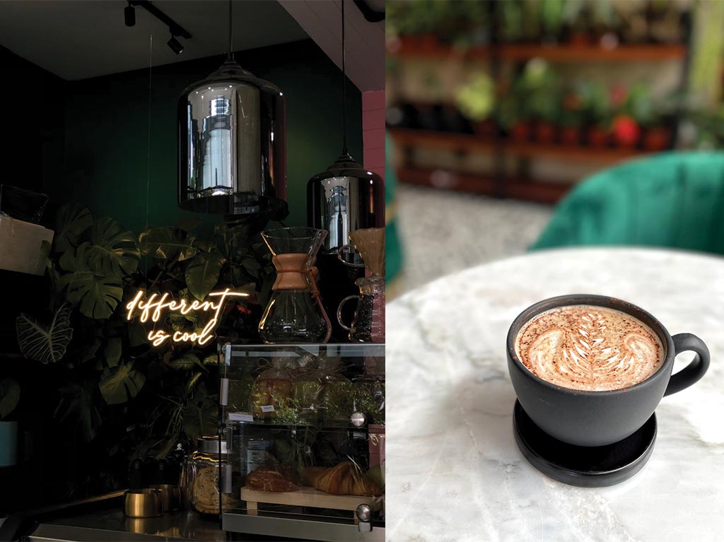 Péshé: cafetería, galería y tienda de plantas en la Condesa