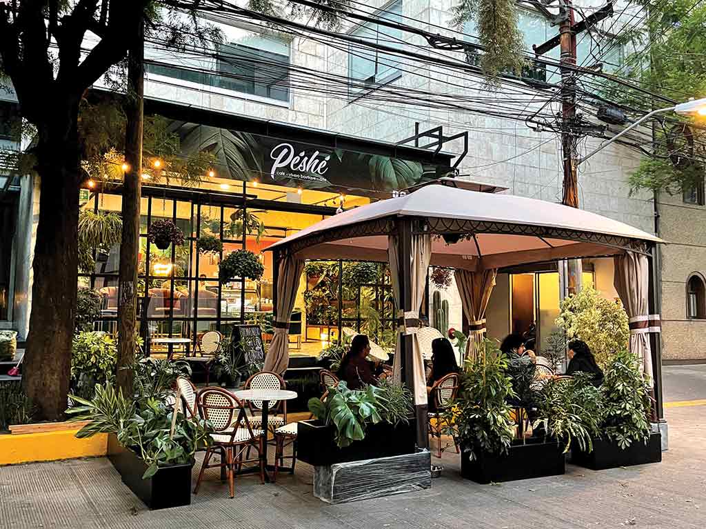 peshe cafetería en la condesa