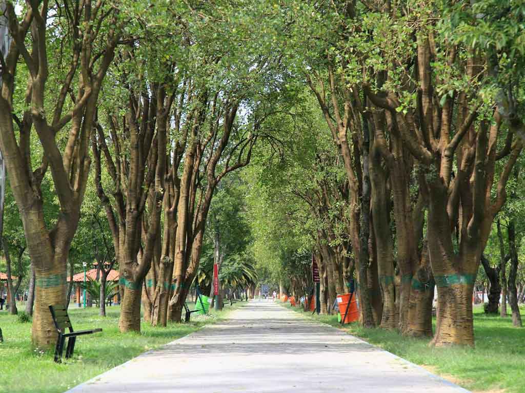 Reinauguran el Bosque de Aragón