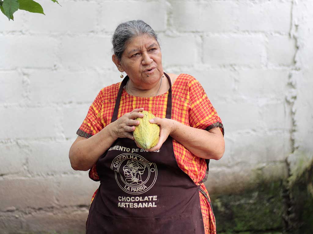 Ruta del café y actividades en Chiapas
