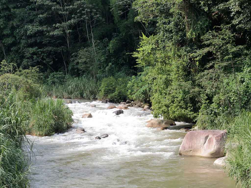 Ruta del café y actividades en Chiapas