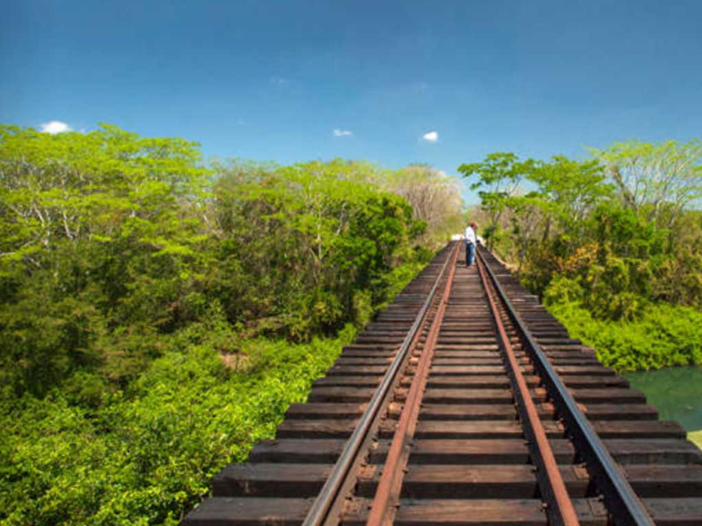 Descubren más de 2000 vestigios arqueológicos en el Tren Maya