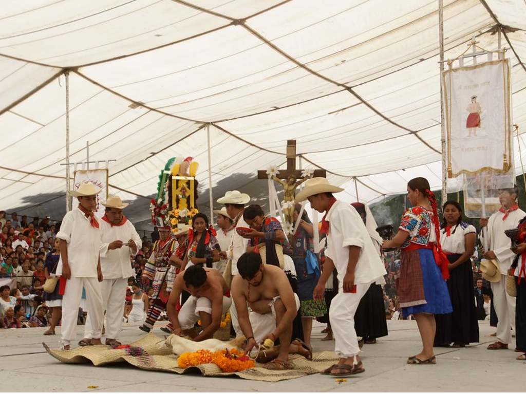 Festival Mole de caderas baile