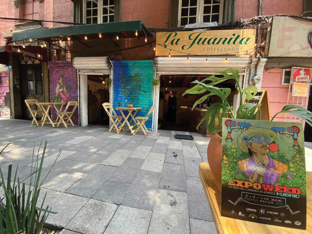 La Juanita: primera cafetería canabica y contracultural de CDMX