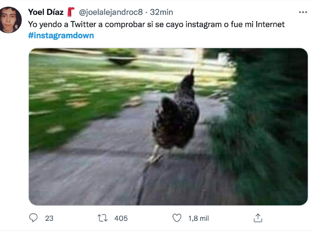 memes-twitter-internet