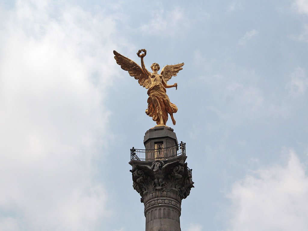 Turibus México hasta la raíz