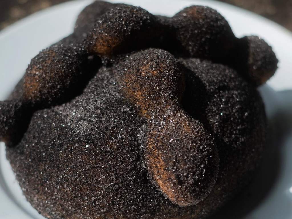 pan de muerto negro en CDMX Rosetta