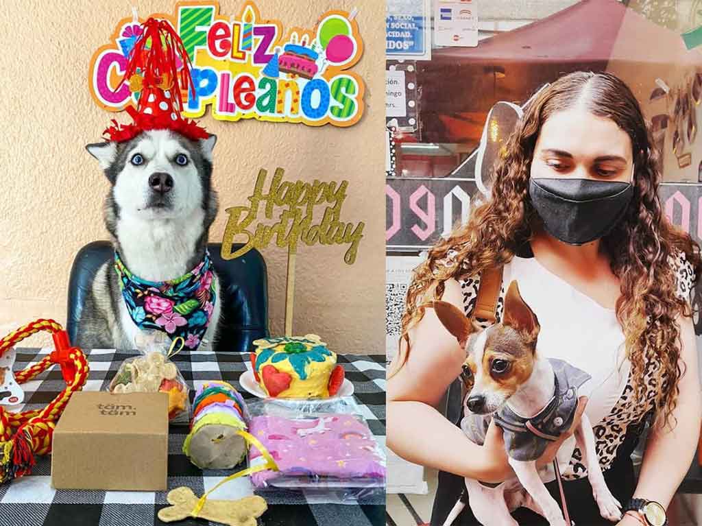 restaurantes-para-humanos-con-comida-para-perros-dogroll