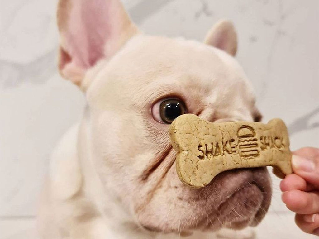 restaurantes-para-humanos-con-comida-para-perros-shake-shack