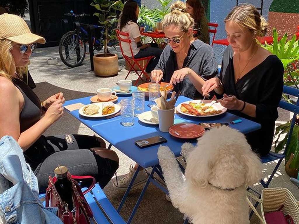 15 restaurantes pet friendly en CDMX ¡con terrazas!