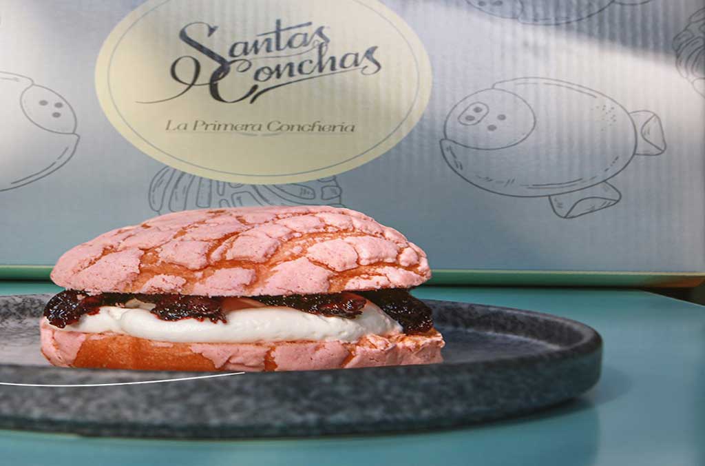 santas conchas