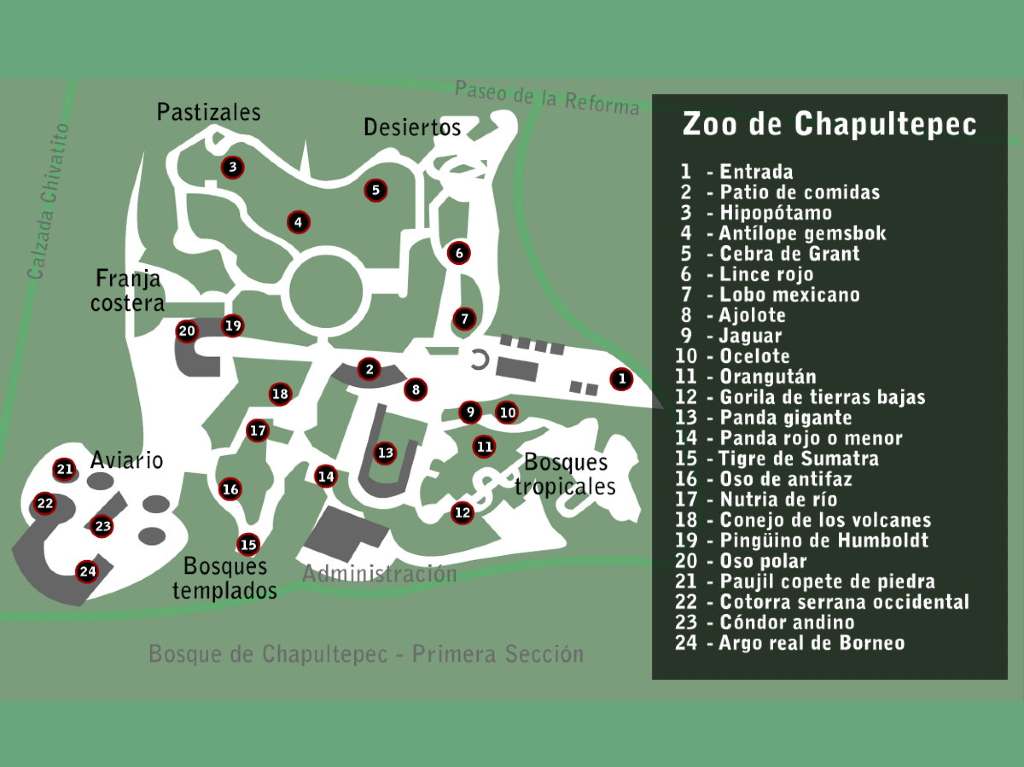 Zoológico de Chapultepec presenta avances en su remodelación Mapa Zoológico de Chapultepec