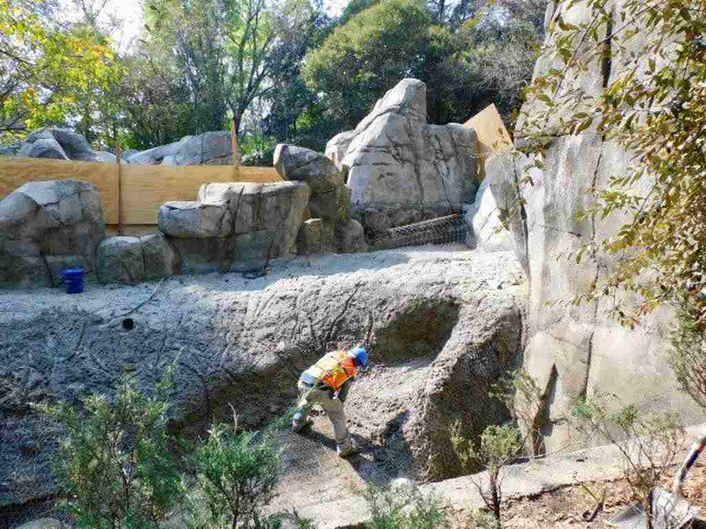 Zoológico de Chapultepec presenta avances en su remodelación Rehabilitación entornos de fauna 