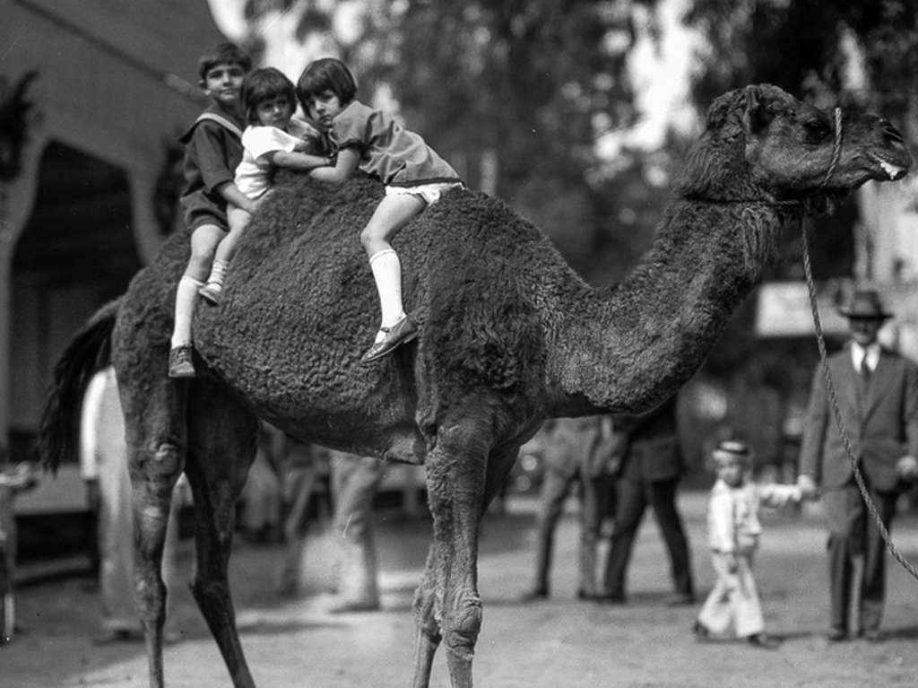 Zoológico de Chapultepec presenta avances en su remodelación Zoológico antiguo