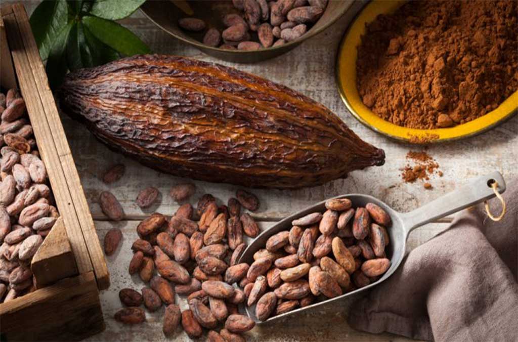cacao-chocolate-sur