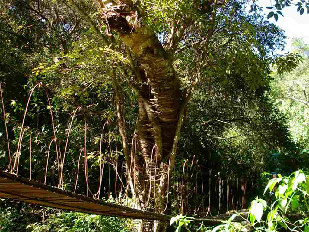 Comala pueblo mágico repleto de ánimas que inspiró Pedro Páramo Ecoparque Nogueras