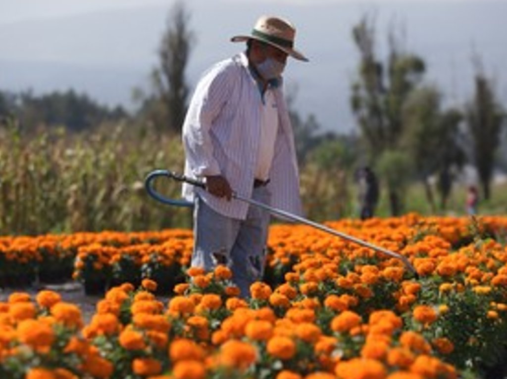 dia-de-muertos