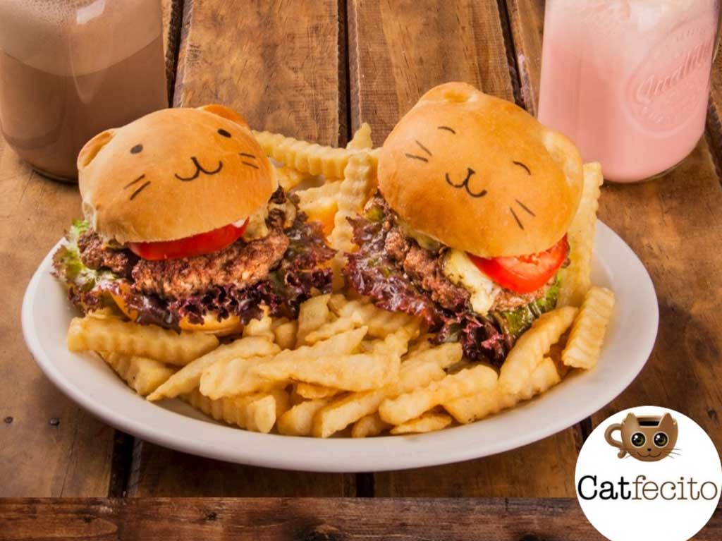 donde-comprar-comida-con-forma-de-gato-en-cdmx-burgercat