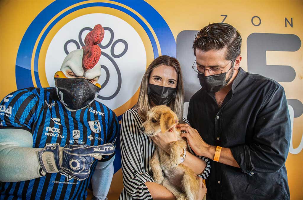 Querétaro presenta el primer estadio Pet Friendly del mundo 0