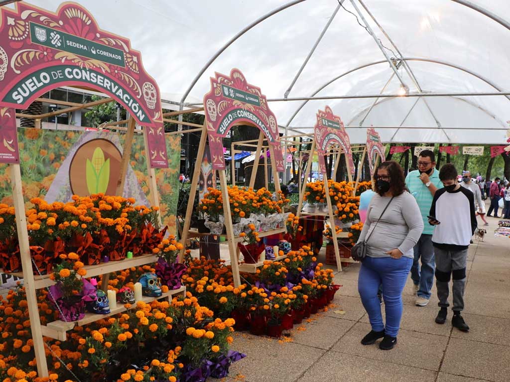 Festival Flores de Cempasúchil 2022: será en Paseo de la Reforma