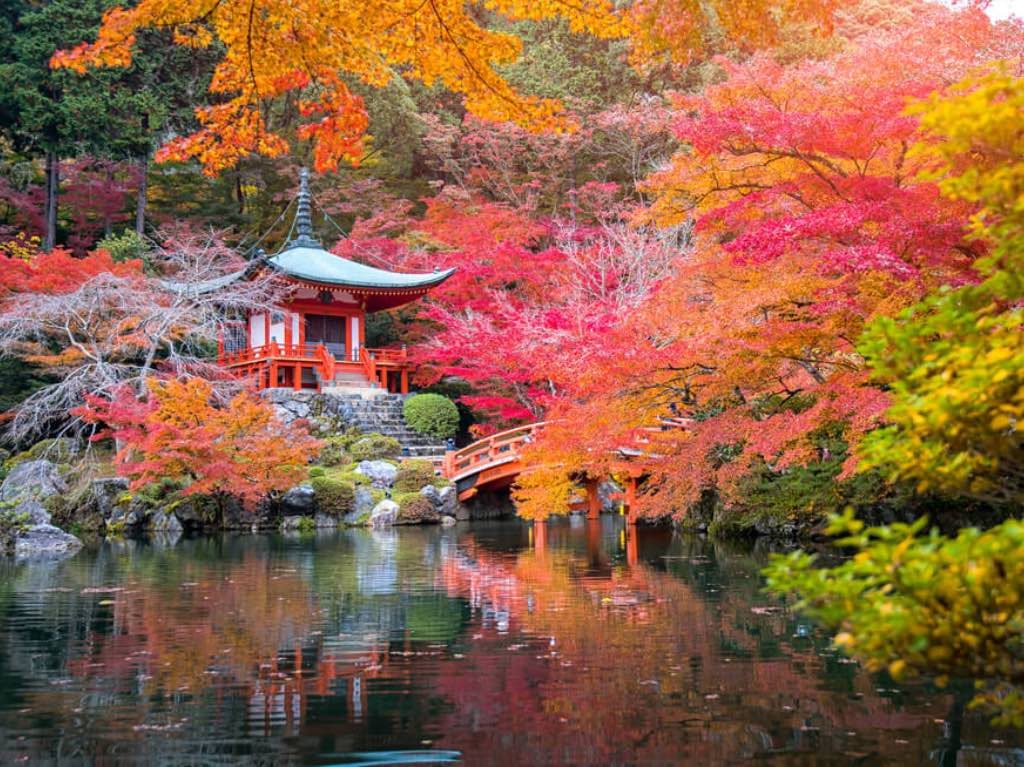 ¡Japón un paraíso en otoño! Playas, comida y espectáculos para todos