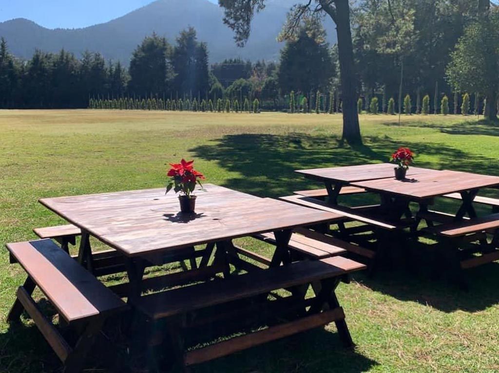 Hermitage Ajusco: El mejor lugar al aire libre para disfrutar la naturaleza