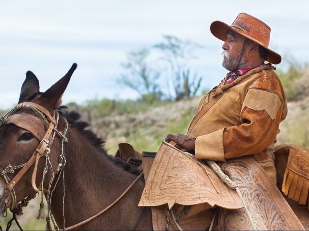 Conoce las películas del Festival Internacional de Cine de Los Cabos 10