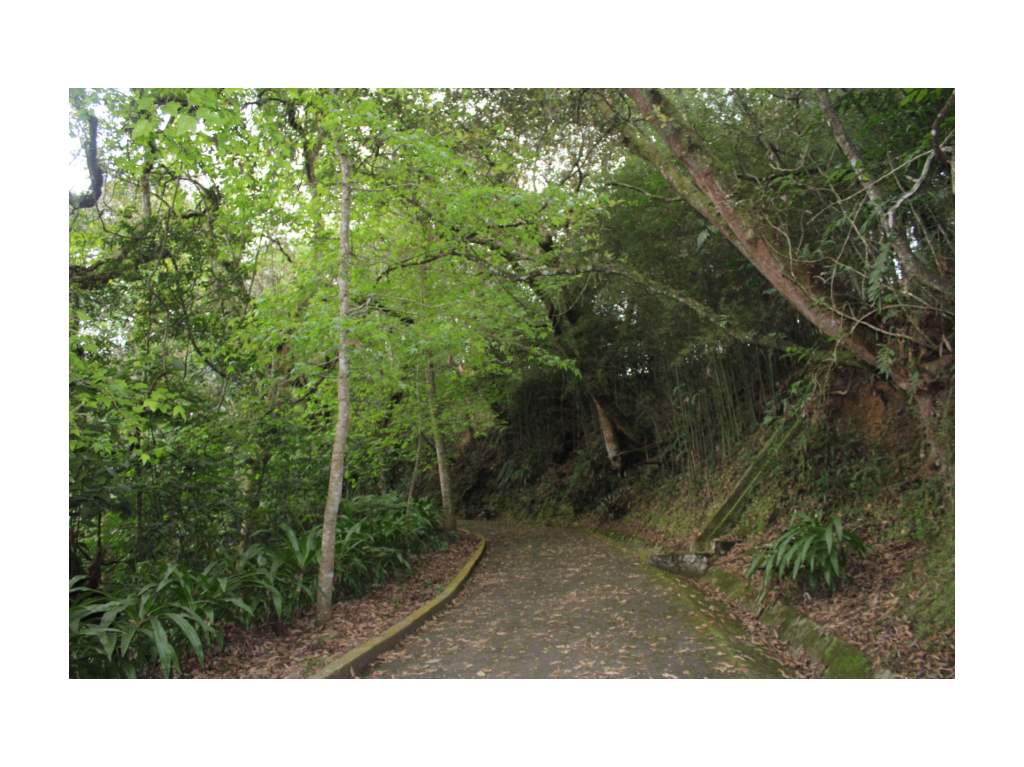 Leyendas Cerro de Macuiltépetl