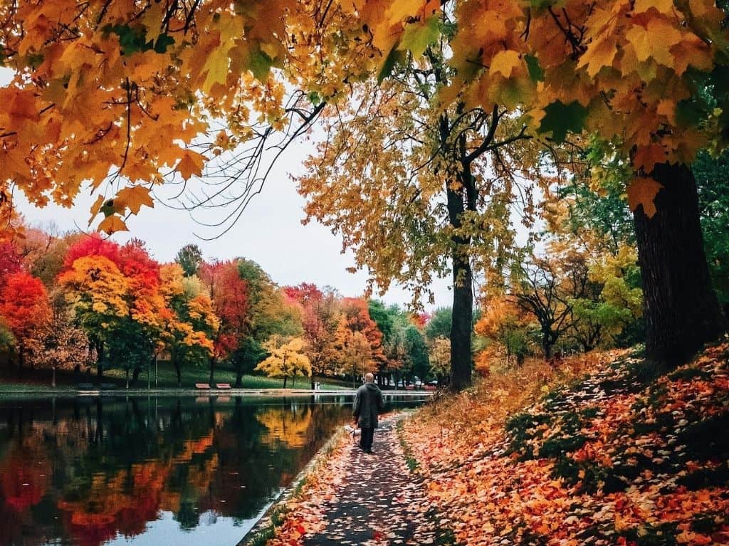 Planea tu siguiente viaje a las tres mejores ciudades de Canadá