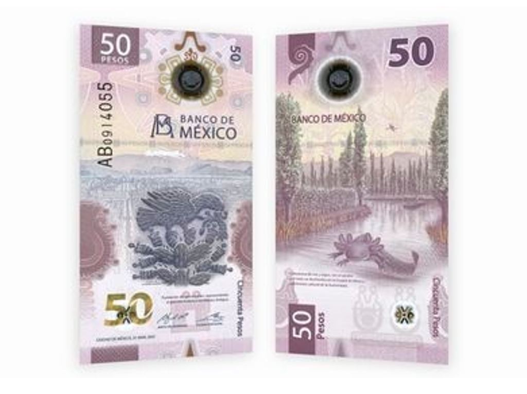 Nuevo billete de 50 pesos ilustrado por ajolote y Tenochtitlan Anverso y Reverso