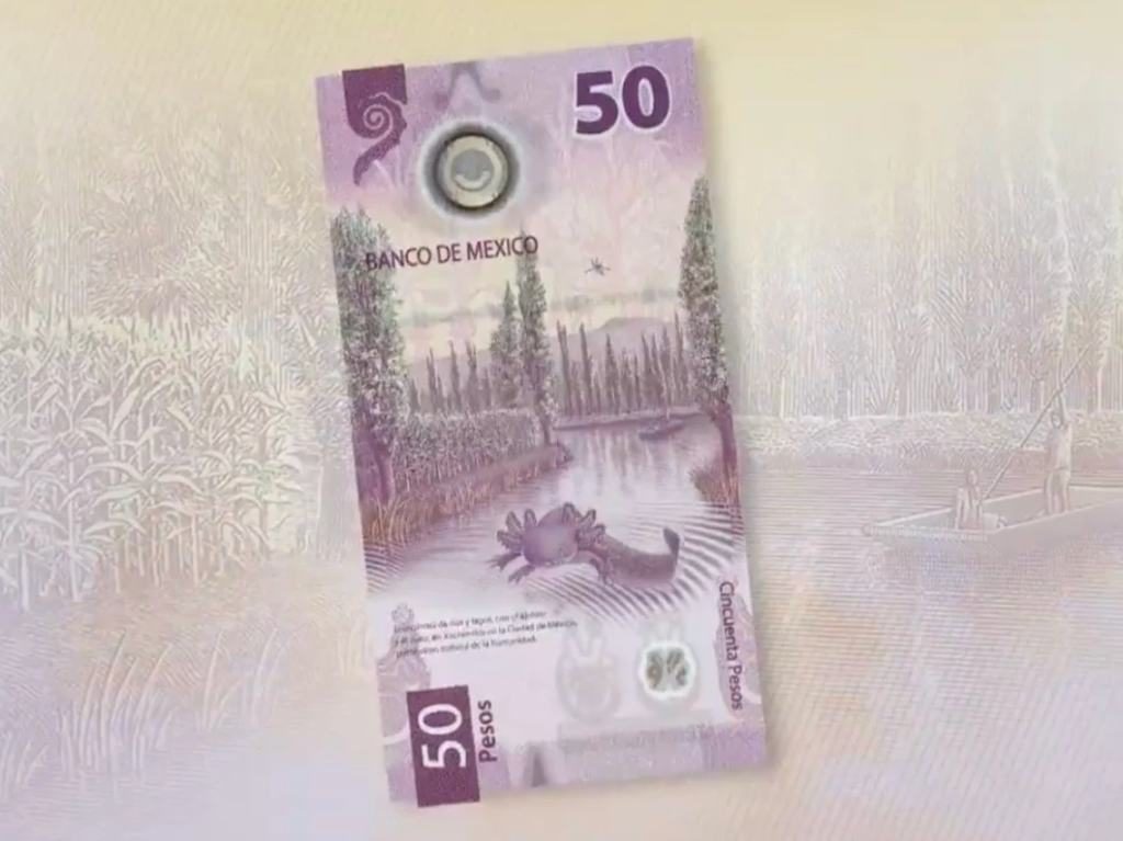 Nuevo billete de 50 pesos ilustrado por ajolote y Tenochtitlan Portada