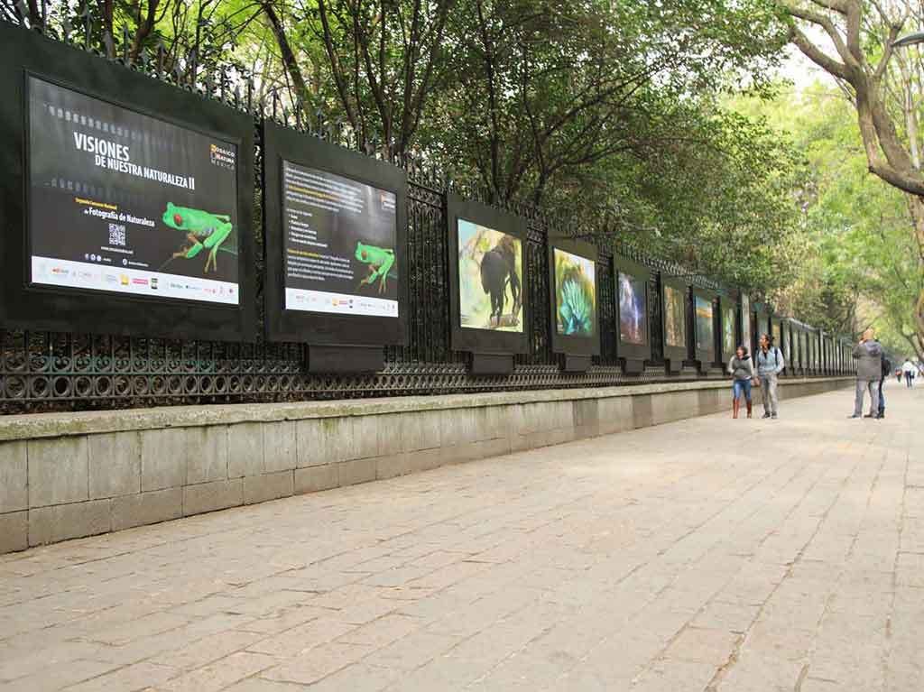 obras-del-museo-del-prado-llegan-a-chapultepec-polanco